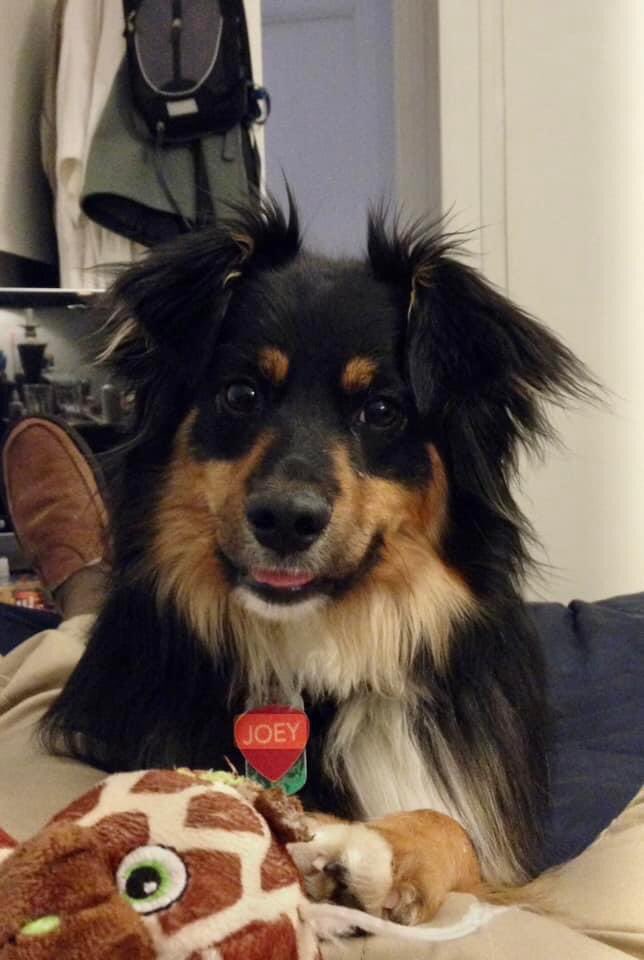 wind4me's tweet image. #CitizenJournalist would be #Bugling #SafeBanking to @elonmusk 

Why ELon ??

@elonmusk could get his 44 Billion back BUYING $MSOX

#SafeBanking is gonna be like #CriticalMass if passed