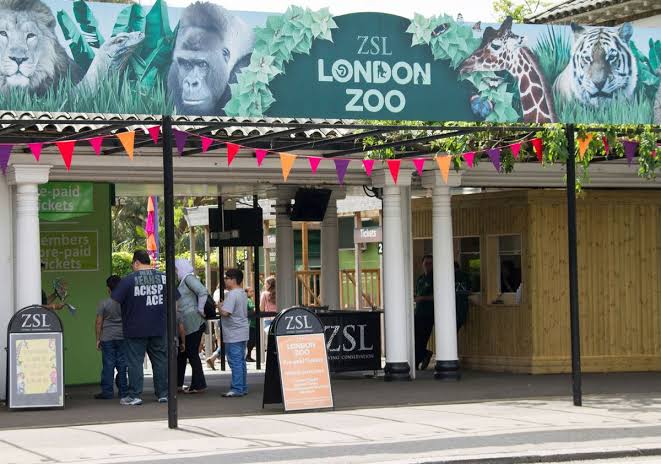 mandesa31's tweet photo. #OnThisDay : 

#LondonZoo, the oldest scientific zoo in the world, opened on April 27, 1828 at #RegentsPark. 

It was the brainchild of Sir #StamfordRaffles, most renowned as the founder of #Singapore

Restricted to 'Members Only' the #Zoo opened to the public in 1847

#BestZoo https://t.co/KGbxgafNjY