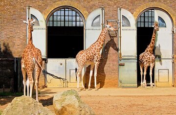 mandesa31's tweet photo. #OnThisDay : 

#LondonZoo, the oldest scientific zoo in the world, opened on April 27, 1828 at #RegentsPark. 

It was the brainchild of Sir #StamfordRaffles, most renowned as the founder of #Singapore

Restricted to 'Members Only' the #Zoo opened to the public in 1847

#BestZoo https://t.co/KGbxgafNjY