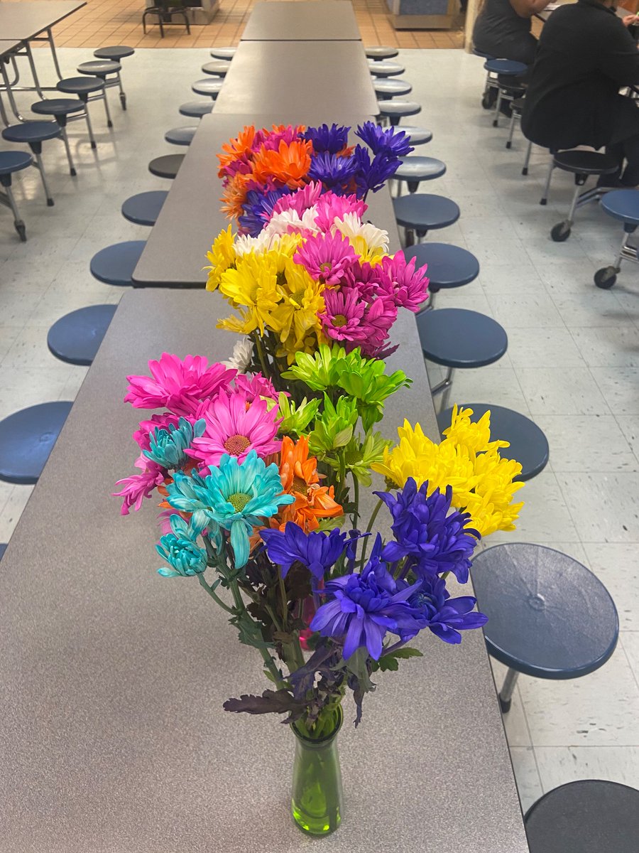 Rachel H. tweet media