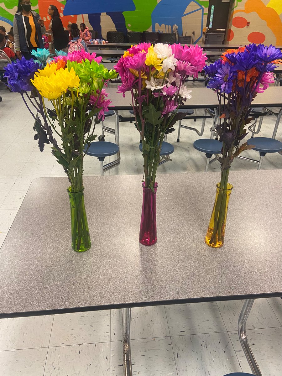 Rachel H. tweet media