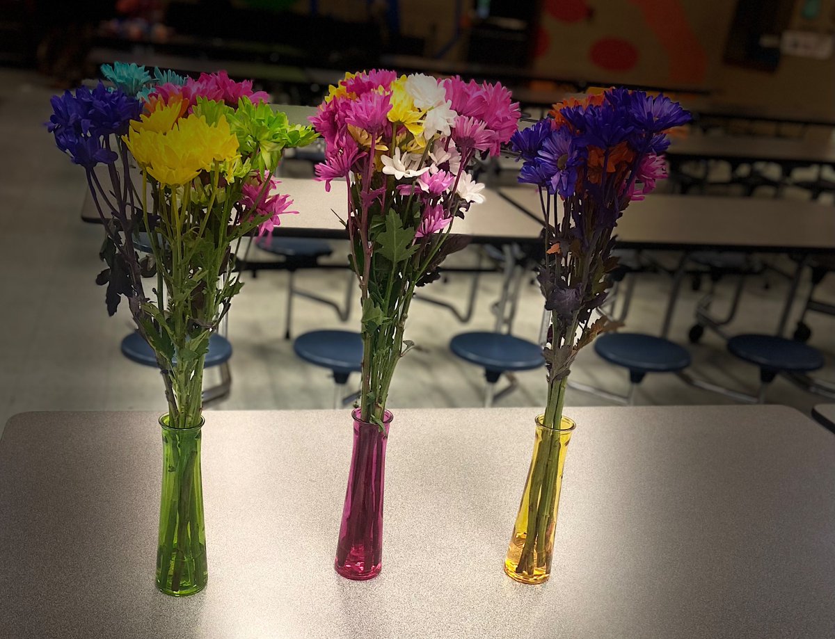 Rachel H. tweet media