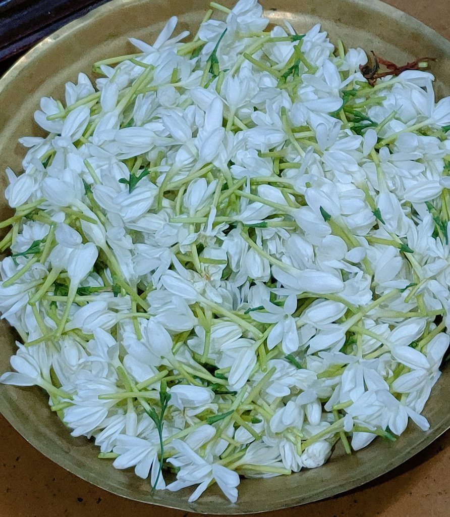 Seemajay9's tweet photo. Can you smell the pic?😍
#Jamine #Nityamallige https://t.co/5blW9RvkuV
