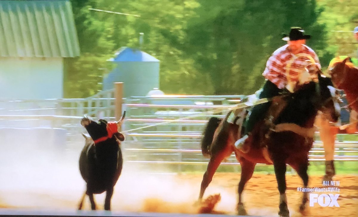 “Eat grass, ladies, he roped me the best”  #FarmerWantsAWife