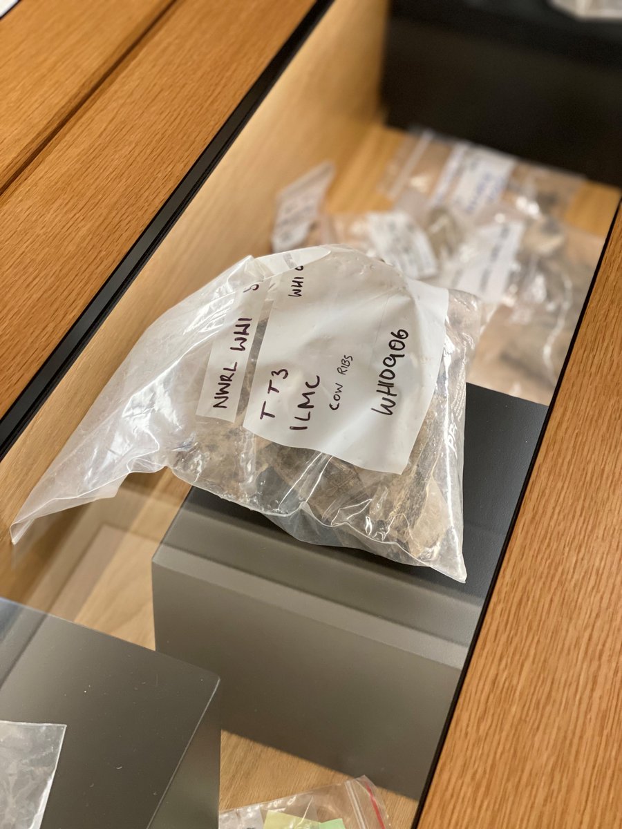 MacquarieMuseum's tweet photo. #2023NAW / @mq_dha students worked on excavation with #EMMConsulting of #colonial material - such as ceramic, glass, brick and bone fragments from the #WhiteHartInn as part of @SydneyMetro work at Kellyville in 2015.  

Finds are stored at MUHM for safe storage and research. https://t.co/iV852mHhfG