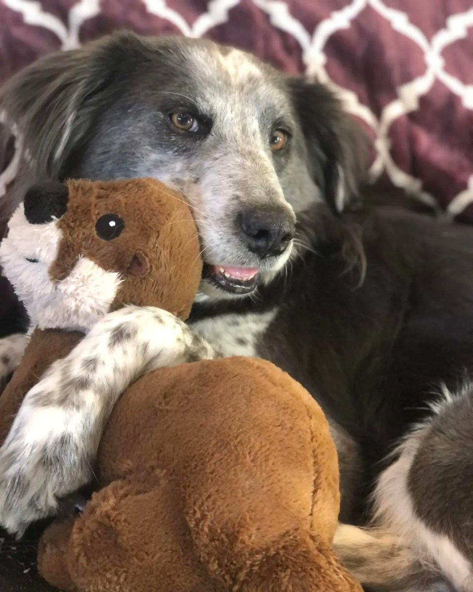 Heather Metcalf tweet media