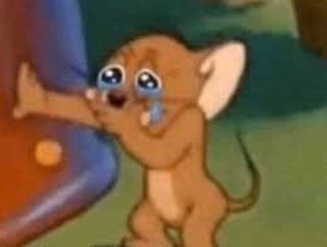 Cuando recién me ponían los brackets uno me dijo vaca ciega porque se trago el alambrado