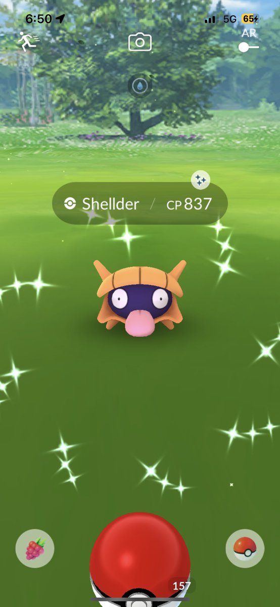 JoltyJon13's tweet photo. Two free raid passes netted me my 3rd #shinyTapuBulu and a #shinyShellder was waiting for me at home right at the end of the #Sustainabilityevent 🥰 #PokemonGo https://t.co/0qw3haaN3U