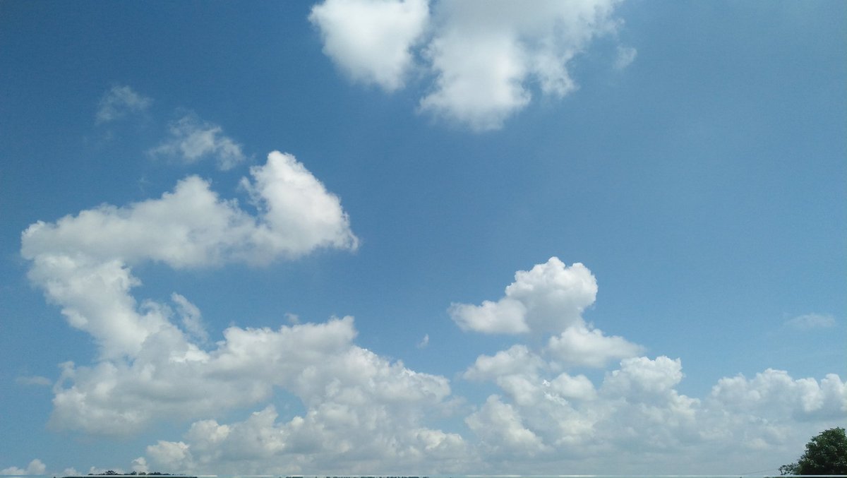 Icegilrr tweet picture