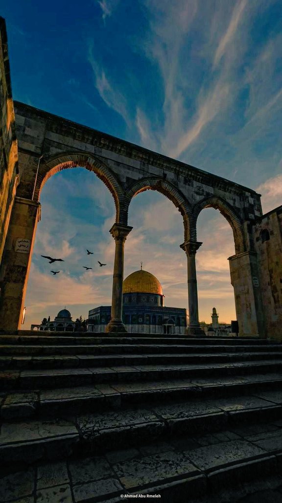 أرض العزة والكرامة.