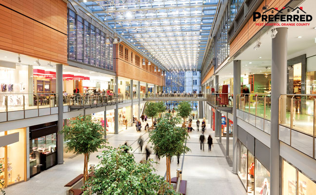 preferredpestoc's tweet photo. Photo: IGphotography/E+/Getty ImagesQuestion: Dan, I am having trouble with a mouse infestation at a restaurant client in a shopping mall. I get the activity down to zero, only to have it jump back up. Help! Needing Information  https://t.co/6HjvVcDxus https://t.co/rlHW83c62D