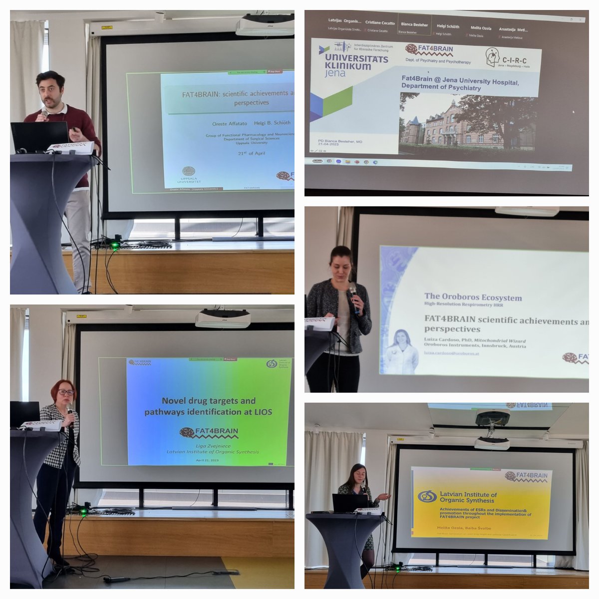 fat4brain tweet media