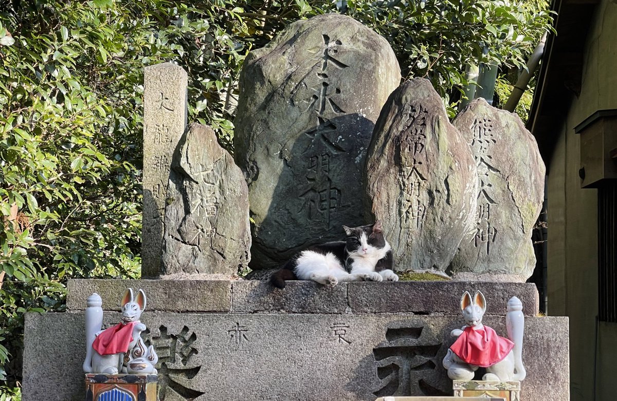 Oh to be a stray cat sleeping on the fox shrine