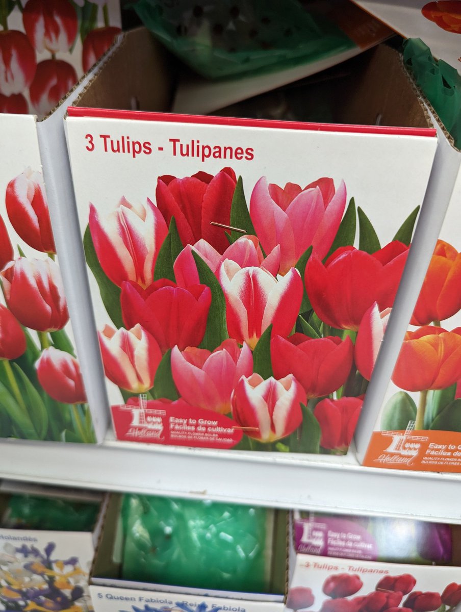 LuvMeAlwayz's tweet photo. @AFCRichmond @AFCAjax Imma plant these just for danny https://t.co/Y28dVoM3vY