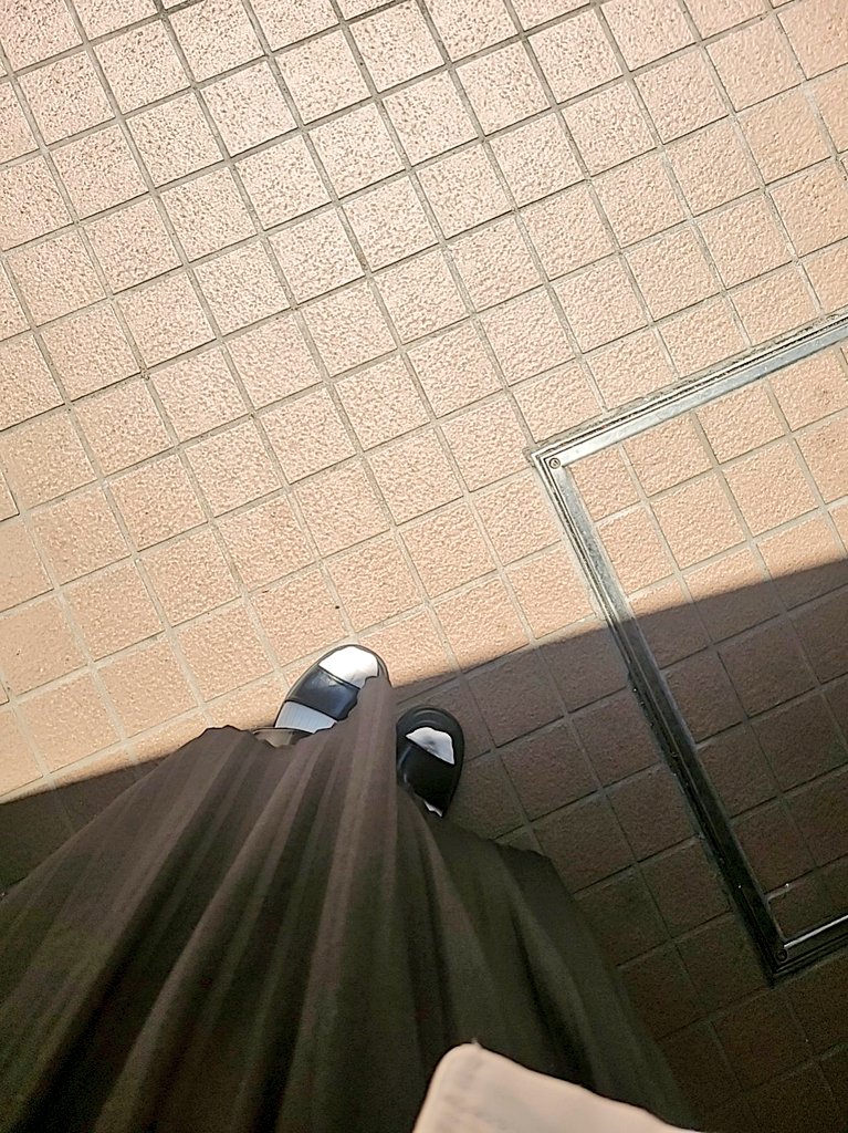 日差しが強すぎるずっと日陰にいたい
私基準ではもう夏☀