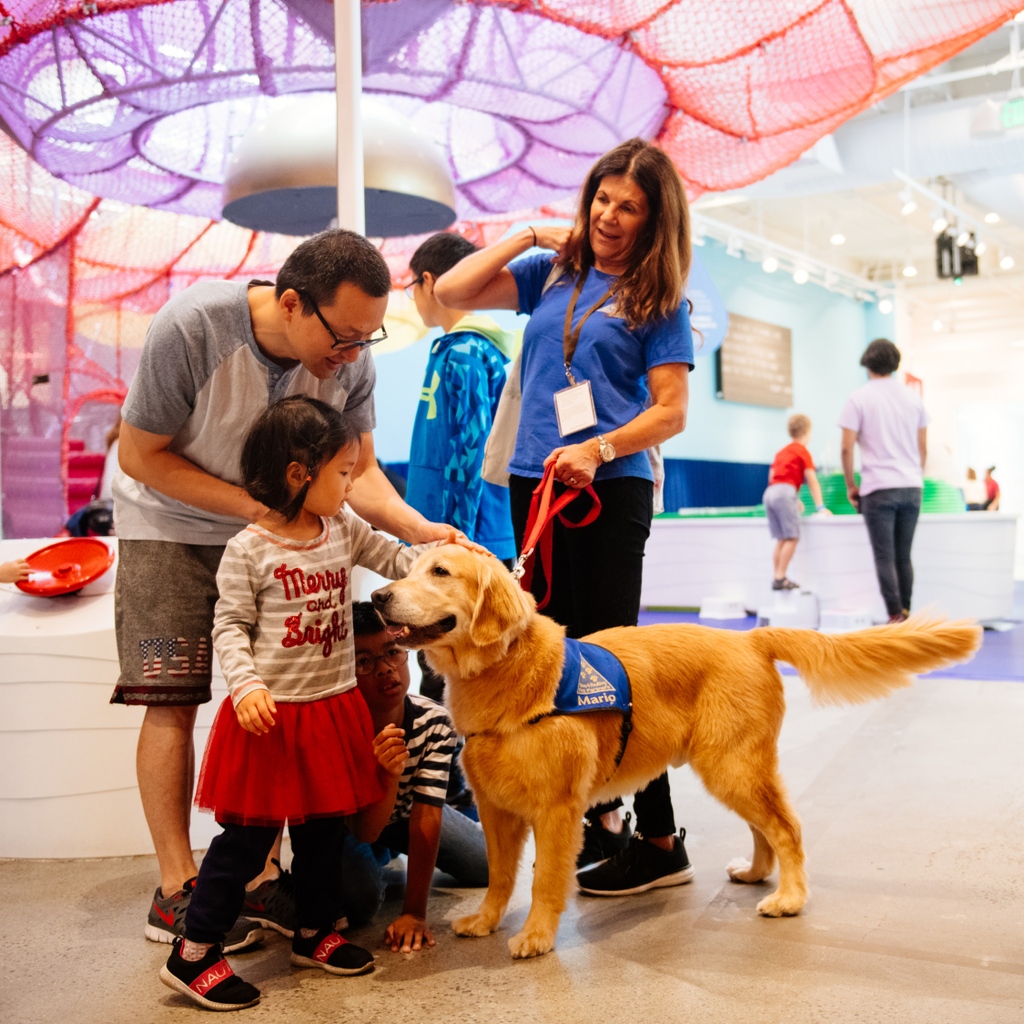 Cayton Children's Museum tweet media