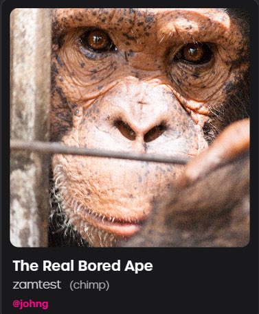 The Real Bored Ape!

#NFT minted with #Mandox Create and the #CreateNFTcamerA!  Best web3 platform for not just minting NFTs but connecting with artists and communities!!

#BAYC #crypto #chimps #Zambia  @LanbertoP <a href="/MandoxFan/">Sue</a> <a href="/jh_mons/">jh_mons</a> @CommanderShib <a href="/Justa_Guy907/">Justa_Guy</a> <a href="/1stSgt_Jroc/">Jon B</a>