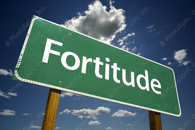 JoJo Speredelozzi tweet media