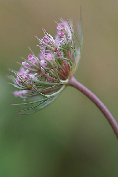 SadalSuud33's tweet image. #Jayne
#Pinterest