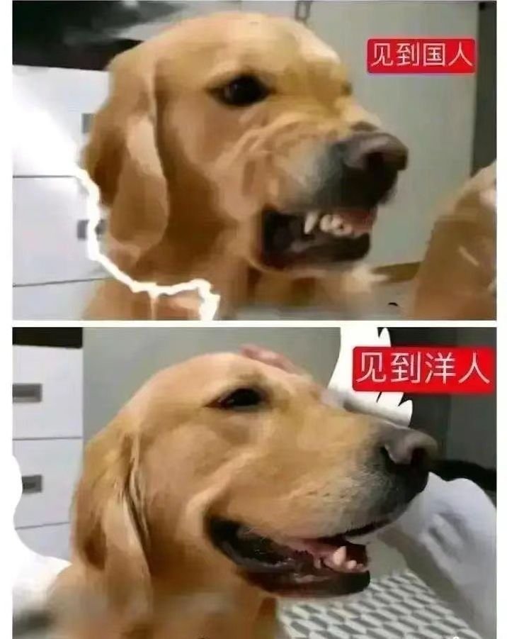 MTFdandan's tweet photo. 各位看片是以男性视角带入还是女性视角呢有什么区别吗 https://t.co/LVCWmdorle
