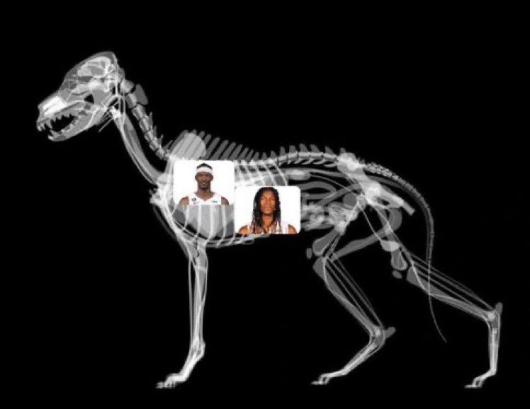 HatedSince03's tweet photo. @getnickwright Y’all got it wrong, jimmy butler don’t got that dog in em, dogs got that jimmy butler in em. https://t.co/8A2iScX7NP