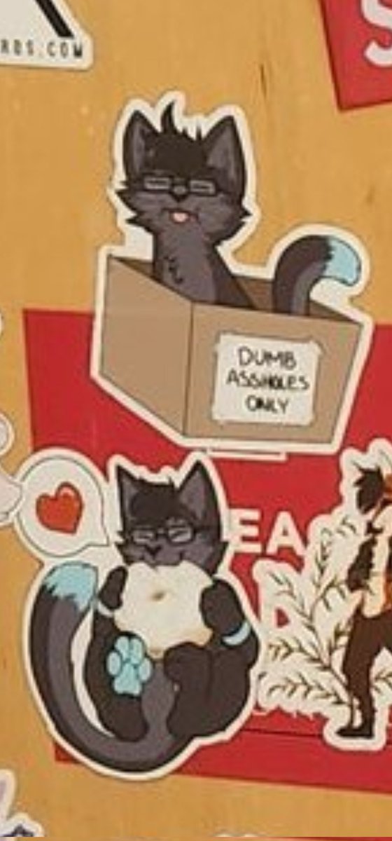 akeyboardcat's tweet photo. @kitskoonk 👁️ https://t.co/iW1DVIRaeC