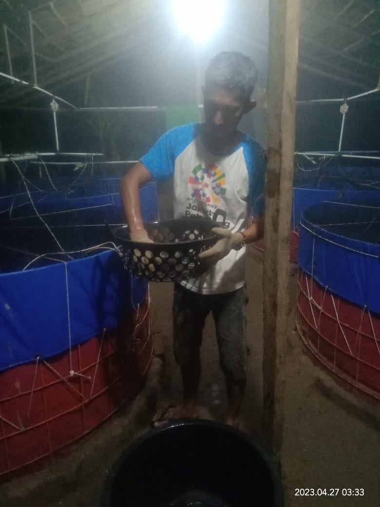 BudiantoSpi's tweet photo. Kamis (27/4/23), Budianto, Luhkan Kab. Indragiri Hilir, Pokdakan Usaha Bersama Kel.Sei Beringin, Panen Ikan Lele Bioflok, sebanyak 350 kg, size 185 gr, harga 21.000/kg
#GiatLuhkanSatminkalMedan #Inhil #Panen
@bpppmedan_brsdm 
@puslatluhkp 
@brsdm_kp
@kkpgoid https://t.co/pSlz4FBYBL