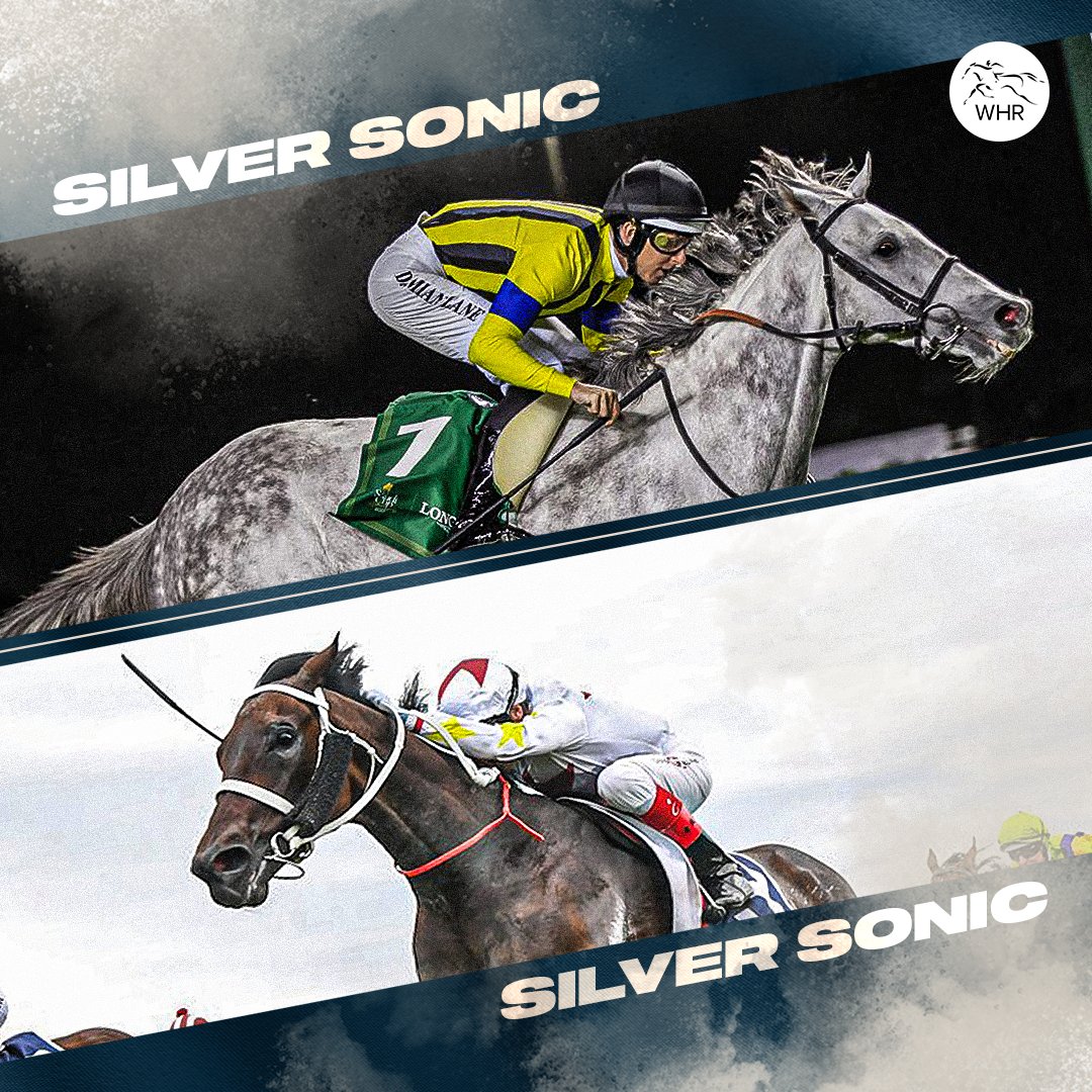 World horse racing on twitter kyoto 3 40pm time silver sonic a