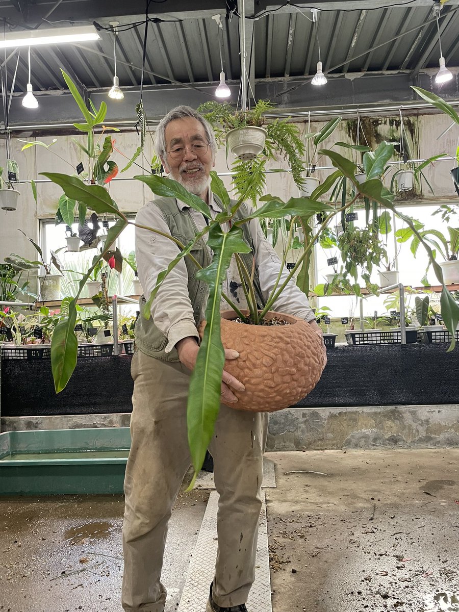 花宇宙 西畠勲造 (@kunzo_n) / Posts / X