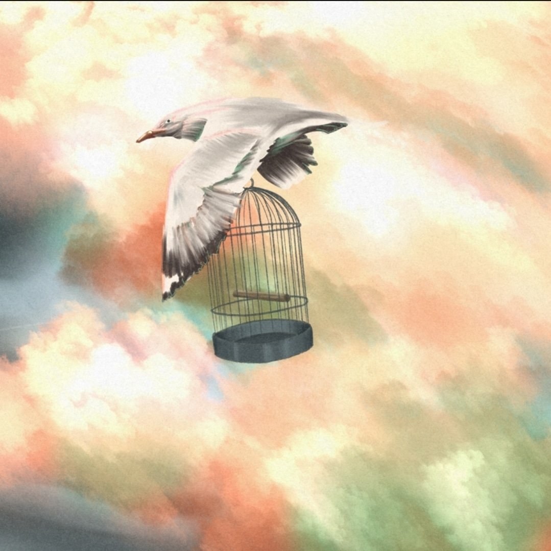 Total BlamBlam tweet media