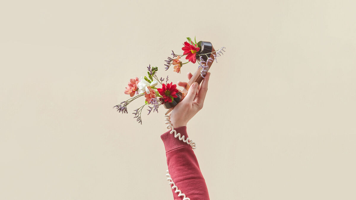 All Around tweet media