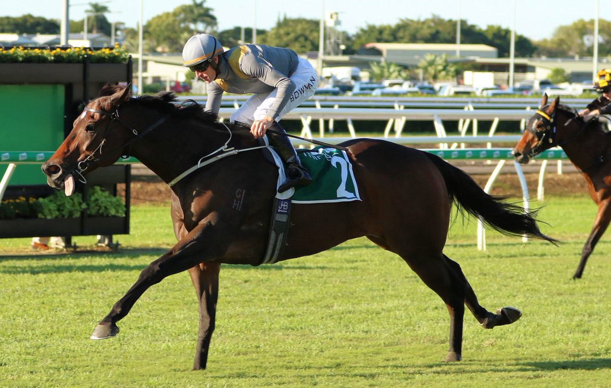 "He's enjoying being back from Victoria. He's freshened up nicely."

<a href="/tonygollan/">Gollan Racing</a> has Baller in Saturday's Victory Stakes and the leading QLD trainer is expecting him to run well. 

LISTEN: bit.ly/3NegXGj