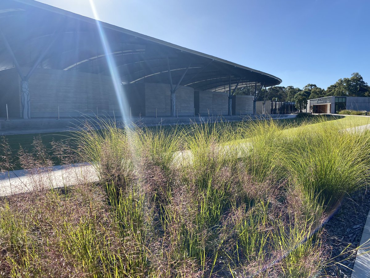 Off the plane and of course the first place I head to is @AustralianBG. Great to have a tour of the new herbarium and check out the amazing Australian flora.