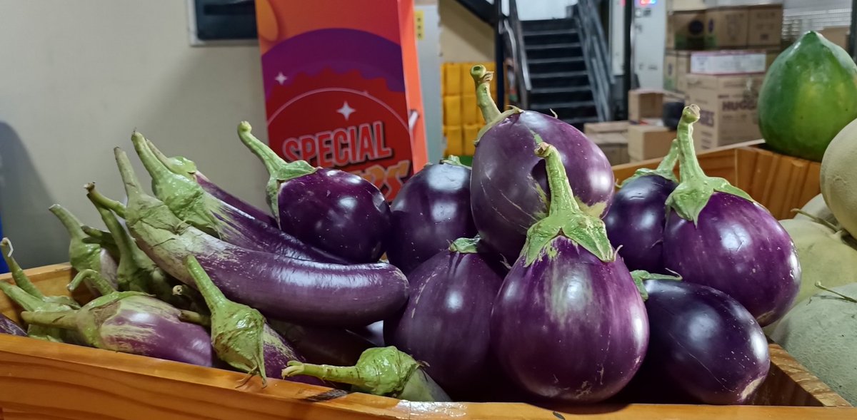 ހދ. ވައިކަރަދޫ އިން ތާޒާ ބަށި  ޝިޕްމެންޓެއް މިއަދުވަނީ  ލިބިފަ. 😊
ހޯލް ސޭލް: 47 ރުފިޔާ (5 ކިލޯ ފެށިގެން)
އޯޑަރު ކޮށްލެއްވުމަށް 3012640 އަށް ގުޅުއްވާލައްވާ، ނުވަތަ 7291130 ވައިބާރ ކޮށްލައްވާ!
💯% #DhivehiUfehdhun 🌱