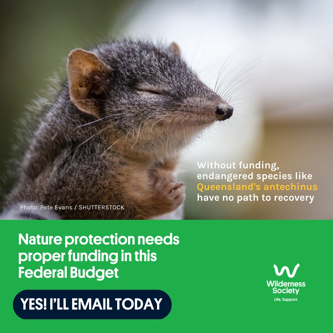 Wilderness_Aus's tweet photo. #ExtinctionIsAChoice and putting proper funding into nature protection is one piece of the puzzle. Email Treasurer Jim Chalmers & Environment Minister Tanya Plibersek to get serious about funding nature protection this Federal Budget. https://t.co/bL7I2ihkL5 https://t.co/IQshlyk0HF