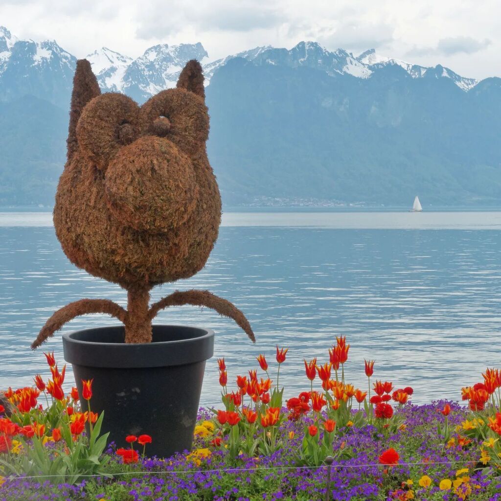 Chat pot 
#geluck #montreux instagr.am/p/CrhvePzIeJ7/