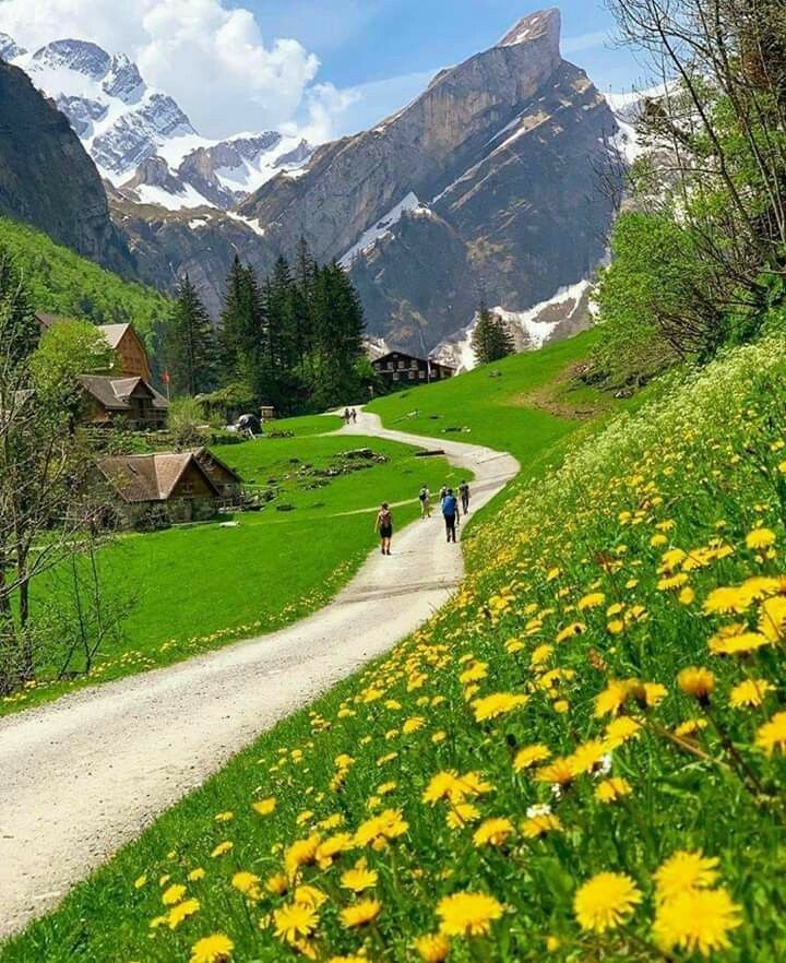 TLeoni311's tweet photo. Good morning 🌞 https://t.co/DUAMxZHO2T