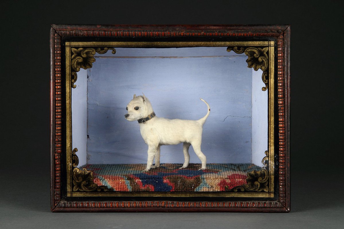 It was a great paper, especially showing how pets could queer ideas of family, for those living outside heteronormative structures, &amp; even within it. Took in some great taxidermy advice along the way (basically, don't stuff your pets, they're never so cute after death!)