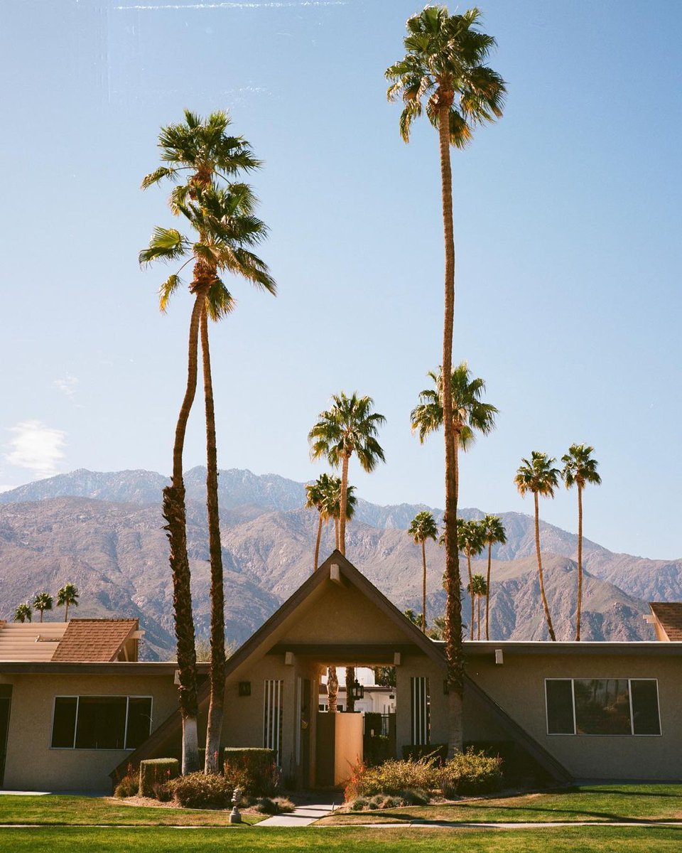 ModernismWeek's tweet photo. "Modernism Week Recap 28
📷: Ektar 100 // Fuji GA645
Desert Lanai by Charles Du Bois"
#regram #PSModSquad #AlecLeibsohn https://t.co/iEG66ICmbh