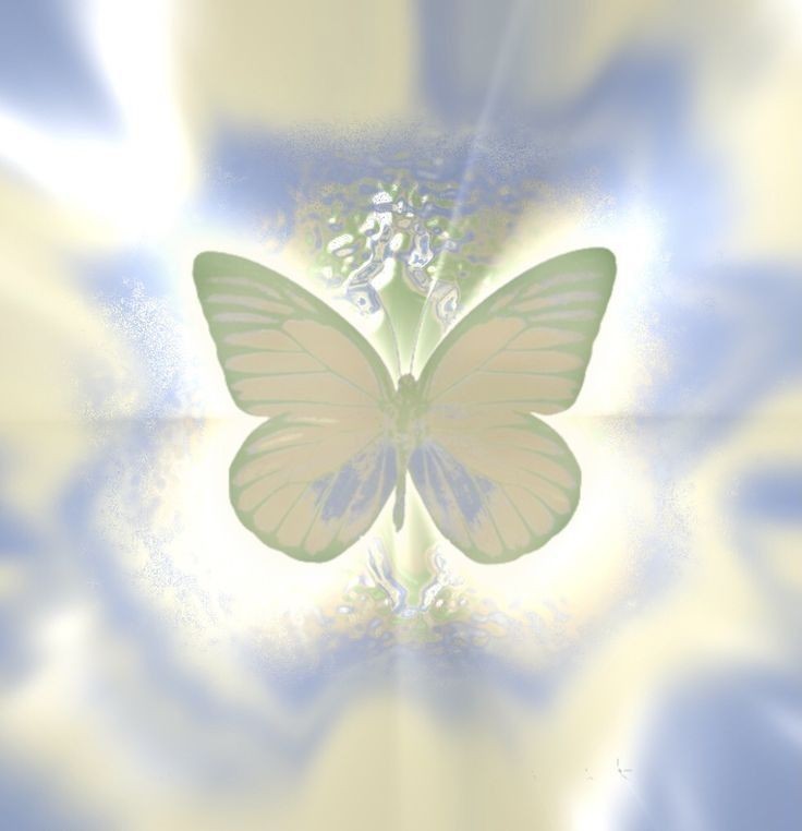 ☆ tweet media