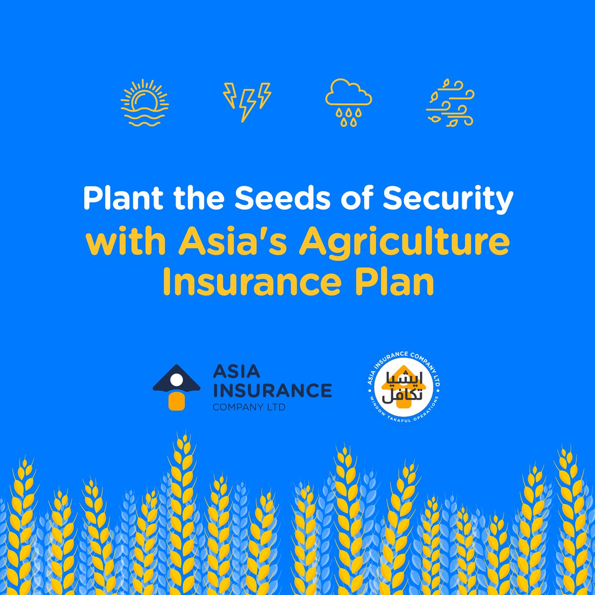 AsiaInsuranceP's tweet photo. Worried about your crop damage? Asia's Agriculture Insurance Plan has got you covered. Call us: 0311 1112742 or visit: https://t.co/fmv0Mf6THr
#AsiaInsurance #AgricultureProtection #InsuranceAgency #ClimateChangeThreats #Farminsurance #Cropprotection #Pakistan #farmingtips #LHR https://t.co/UNamj4gh5z
