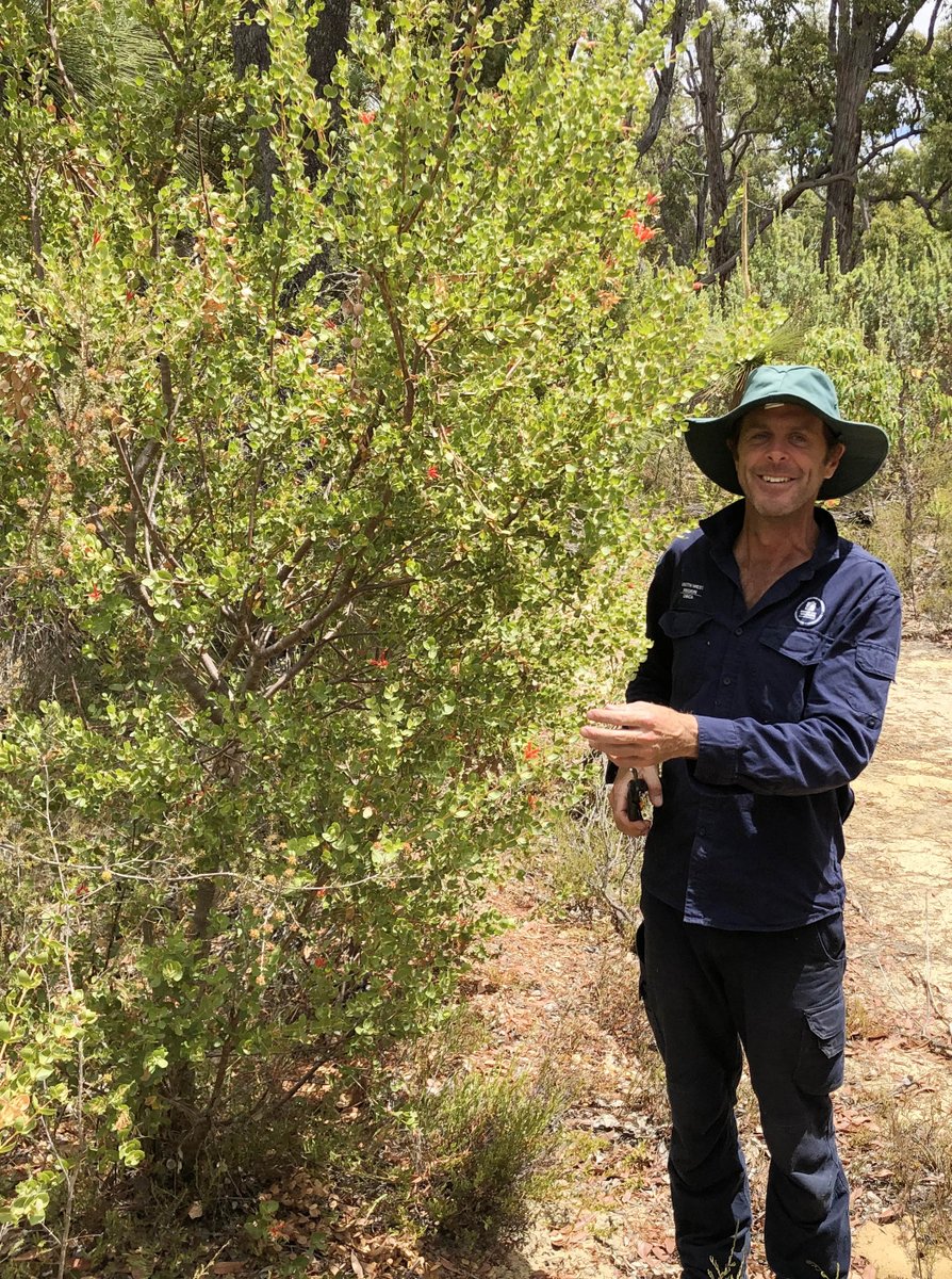 Juliet Wege tweet media