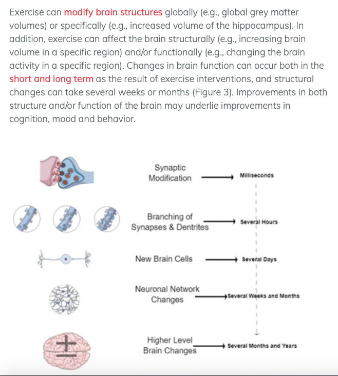 LondonPehwb's tweet photo. 'The Impact of #exercise on the brain': https://t.co/FvDPgf85sD A recommended read that explores the positive benefits upon cognitive development re: 'micro'; 'macro' and 'behavioural levels' https://t.co/FTtBeNKzl6