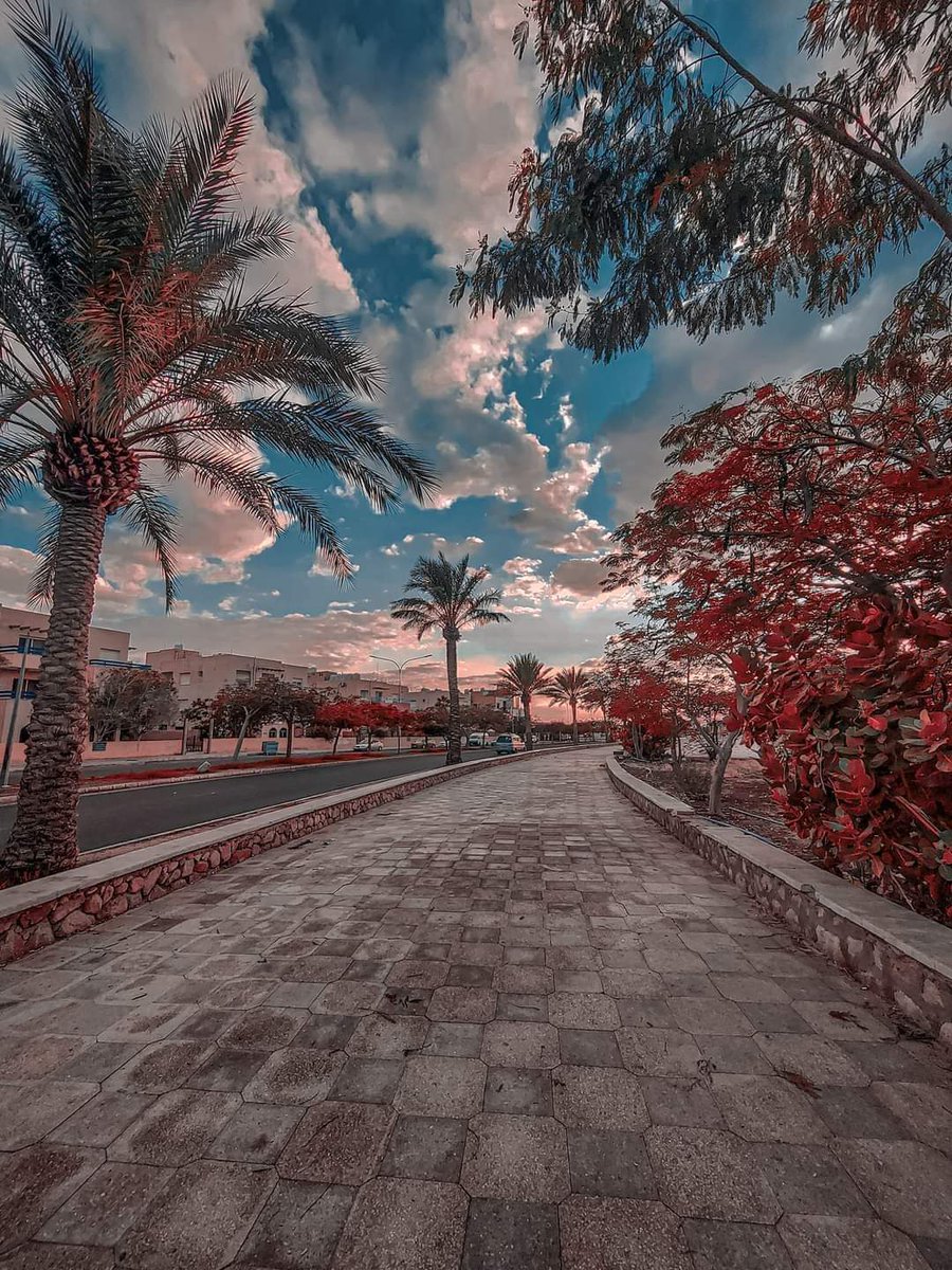 البطوش هديل 🇯🇴 tweet media