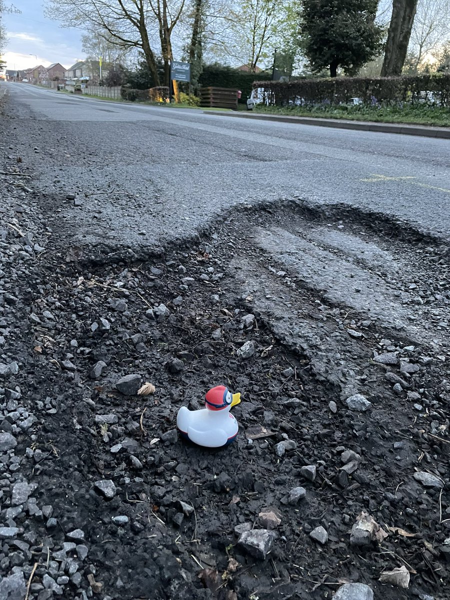 Overmyheadphotography tweet media