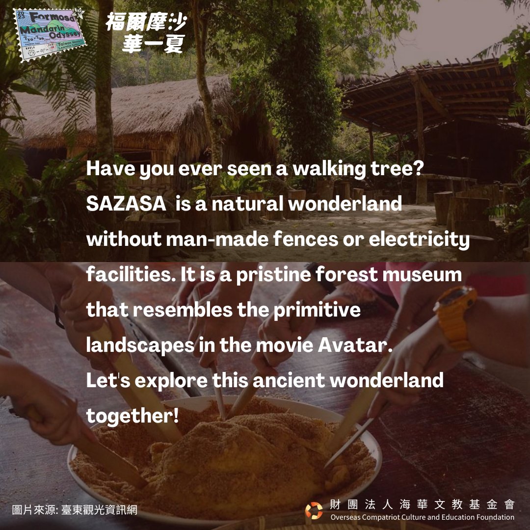 occeftw's tweet photo. Have you ever seen a #walking #tree?
#SAZASA is a #natural #wonderland without man-made fences or electricity facilities. It is a #pristineforestmuseum that resembles the primitive landscapes in the movie #Avatar.
Let's #explore this #ancient wonderland #together! https://t.co/B1zEkz4MuW