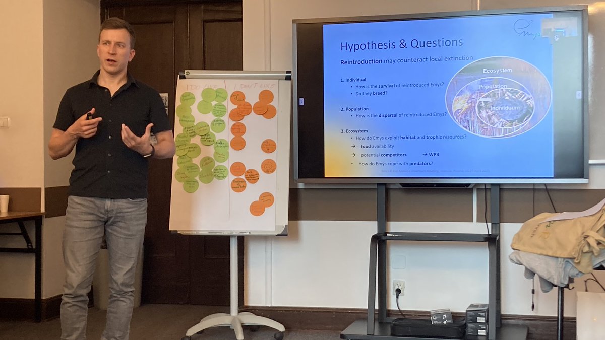 ProjectEmysR's tweet photo. EmysR annual meeting: Johannes Meka presenting his #PhD #project « Population #monitoring and #trophic #ecology of reintroduced European #pond
#turtle #Emys orbicularis in restored #wetlands: implications for #management » supervision @KTheissinger and @IPHC_Strasbourg https://t.co/hmrQqkdVZd
