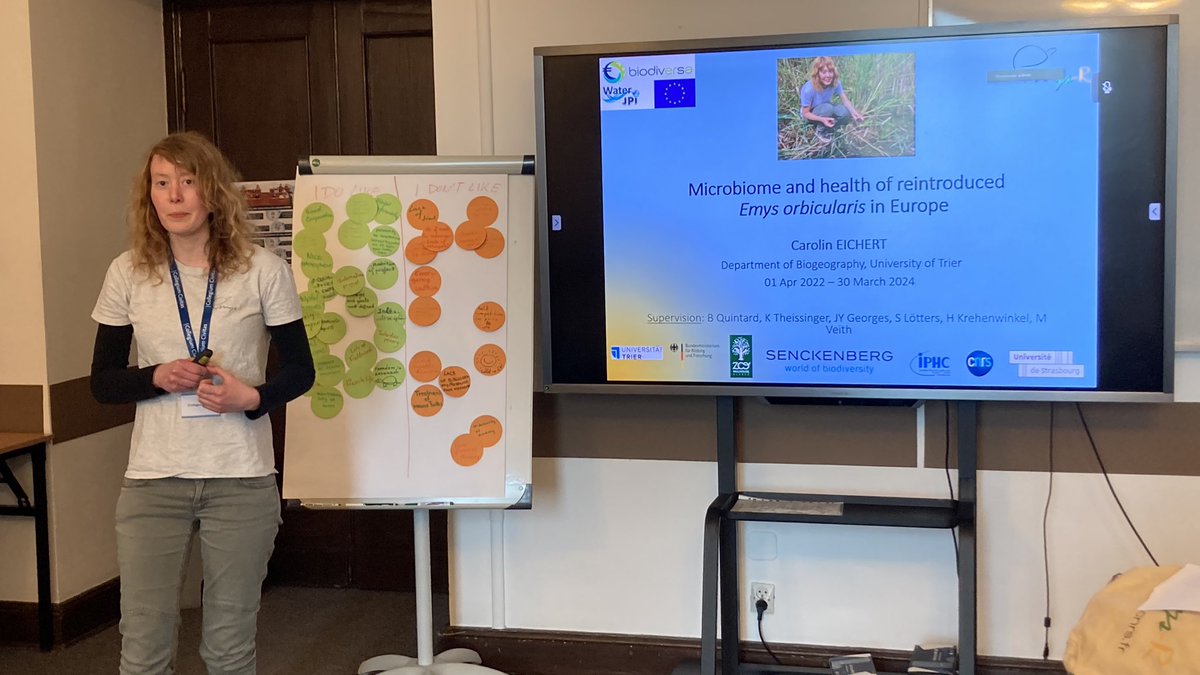 ProjectEmysR's tweet photo. 2nd annual meeting: Carolin Eichert presenting her #PhD project « #Microbiome and #health of reintroduced
#Emys orbicularis in #Europe » for improved #conservation #management #ForNature 
@KTheissinger 
@LOEWE_TBG 
@geobiodiversity 
@IPHC_Strasbourg https://t.co/nm0YIW86rm