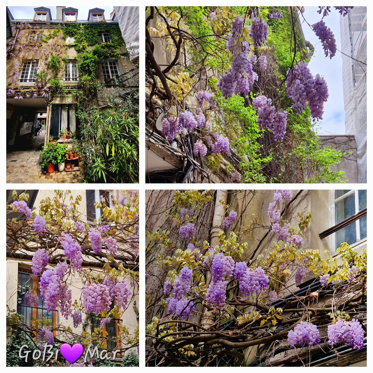 Luc Forest (@LucForest7)  X