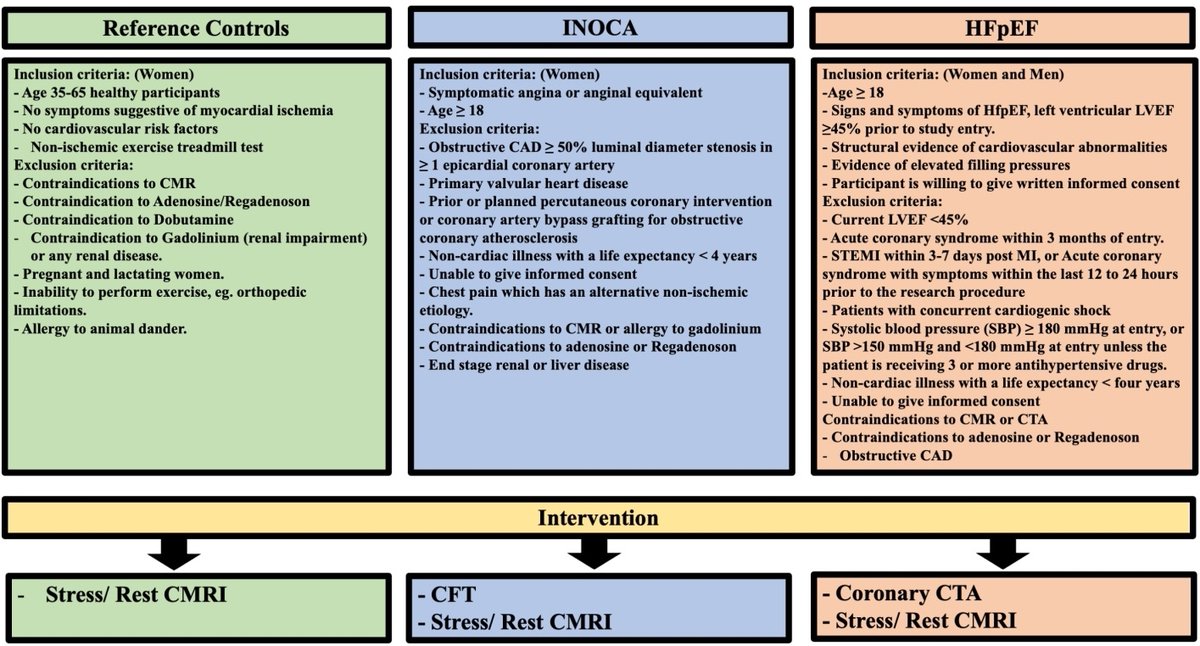 Alisa30674890's tweet image. #INOCA #CMD        
Enjoy reading this article from Prof. C. Noel Bairey Merz @hayder_aldiwani
💡Reduced myocardial perfusion reserve appears to be a common #pathophysiologic feature in INOCA and #HFpEF patients‼️
🧑‍🤝‍🧑64 participants, 36 women 
vpjournal.net/article/downlo…